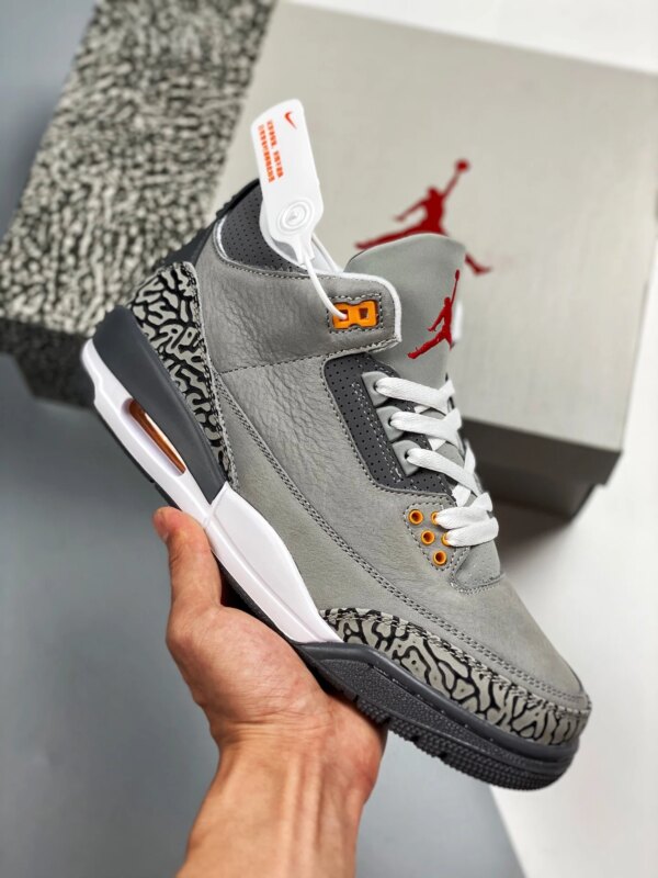 Air Jordan 3 Cool Grey CT8532-012 For Sale