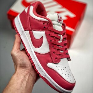 Nike Dunk Low White Archeo Pink DD1503-111 For Sale