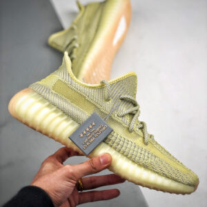 Adidas Yeezy Boost 350 V2 Non-Reflective Antlia FV3250 For Sale